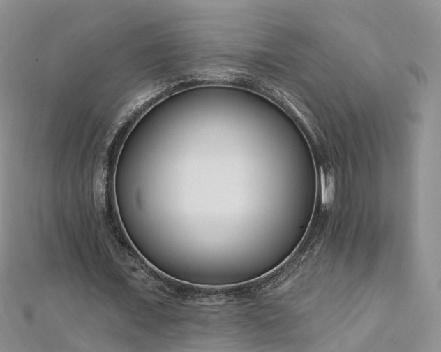 X0000112480675200908241255