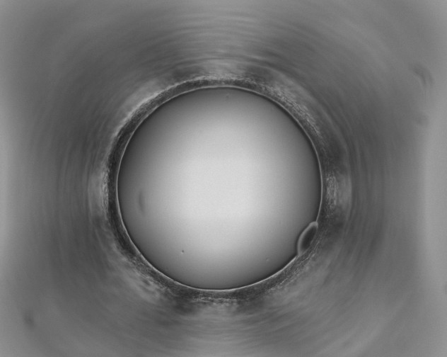 X0000112480676200908241255