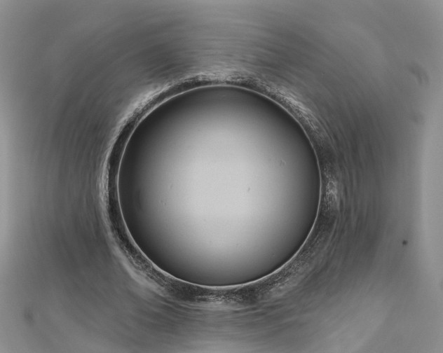 X0000112480678200908241255