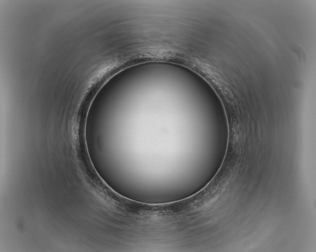 X0000112480679200908241255