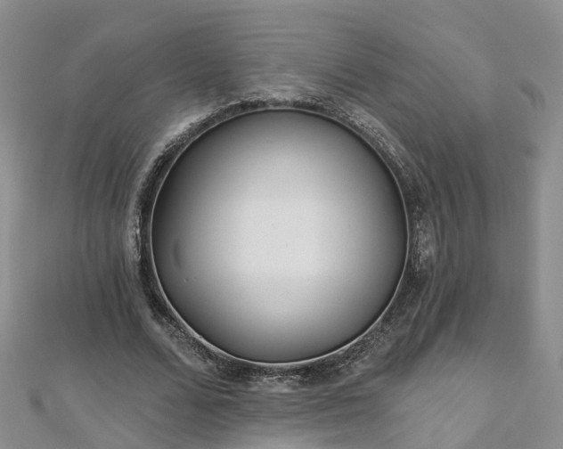 X0000112480680200908241255