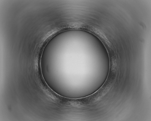 X0000112480681200908241255