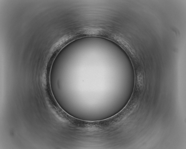 X0000112480682200908241255