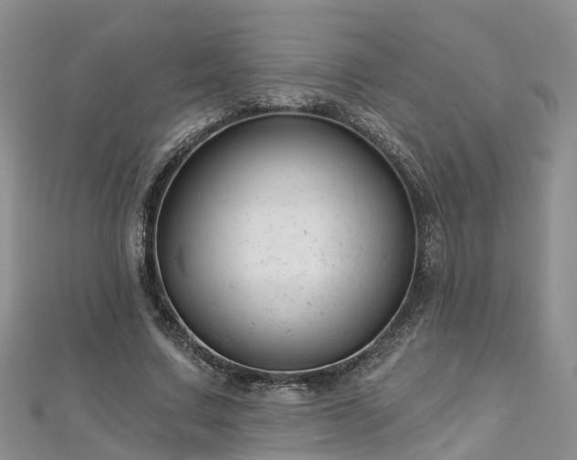 X0000112480683200908241255