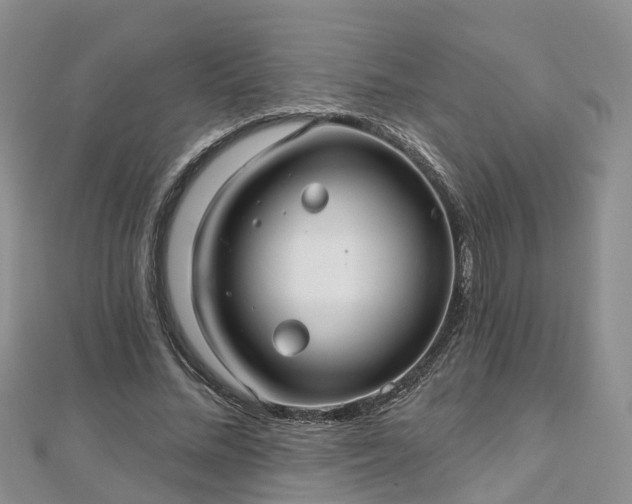 X0000112480684200908241255