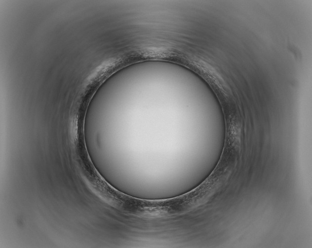 X0000112480686200908241255