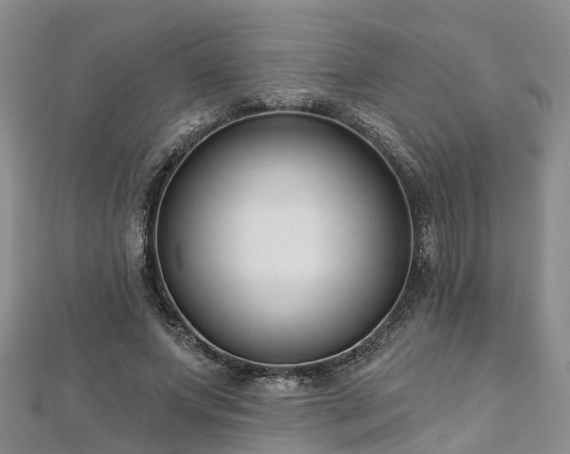 X0000112480687200908241255