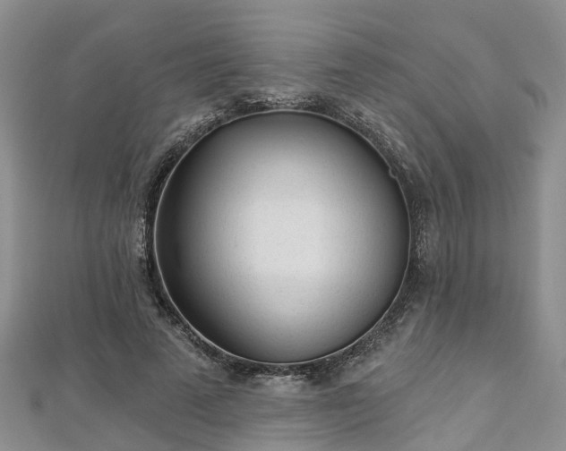 X0000112480689200908241255