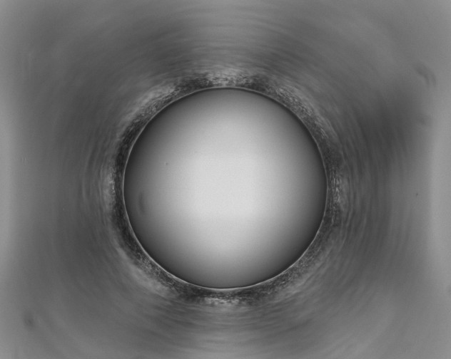 X0000112480690200908241255