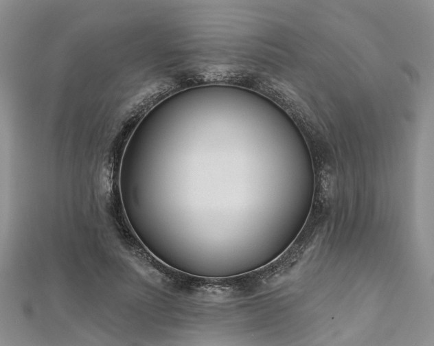 X0000112480691200908241255