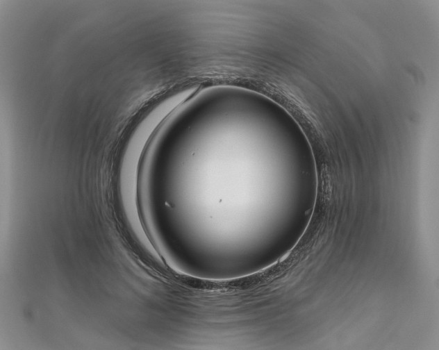 X0000112480692200908241255