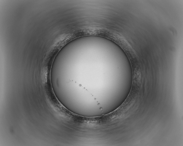 X0000112480694200908241255