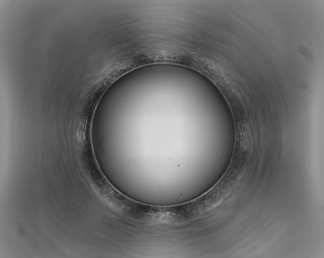 X0000112480695200908241255