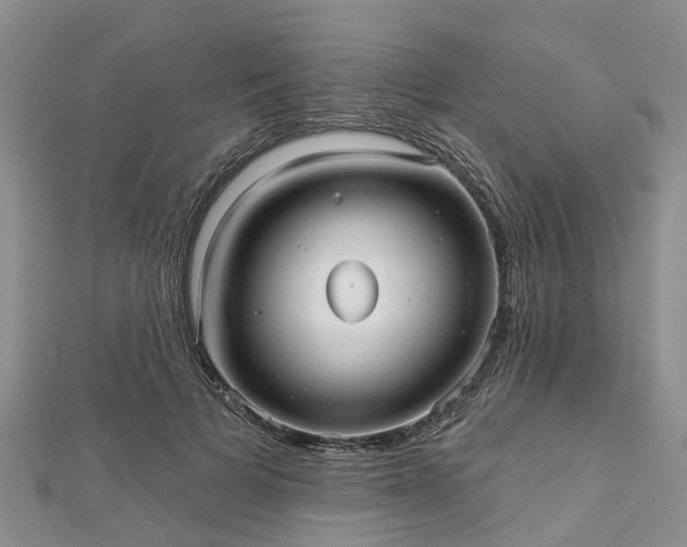 X0000112480697200908241255