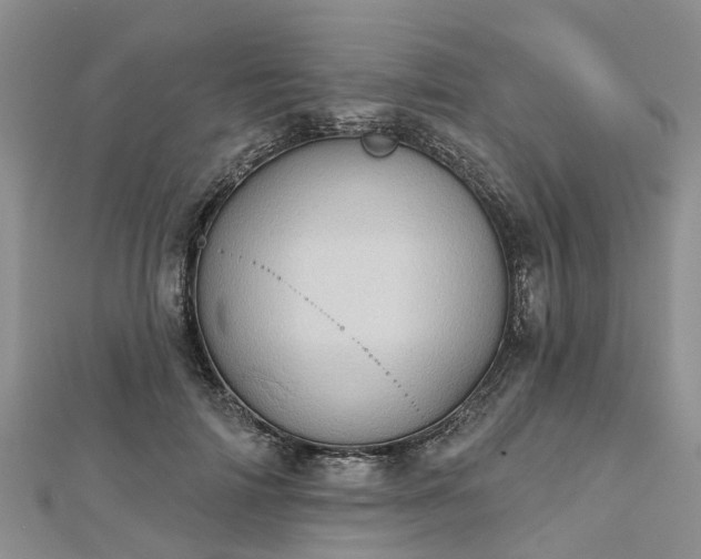 X0000112480698200908241255