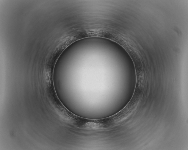 X0000112480699200908241255