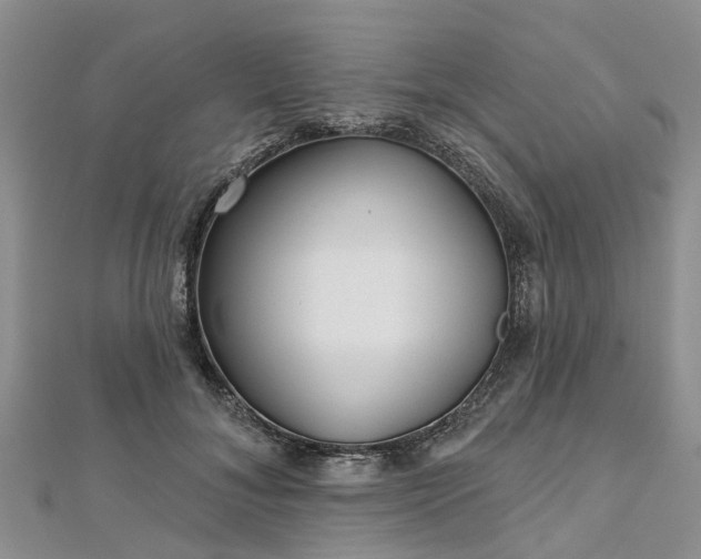 X0000112480700200908241255