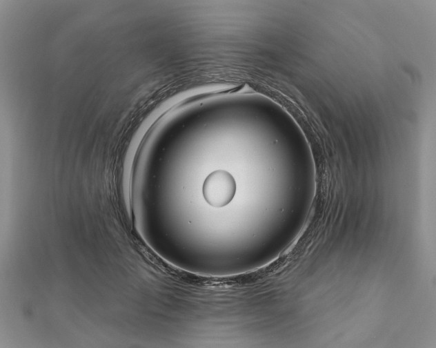 X0000112480701200908241255