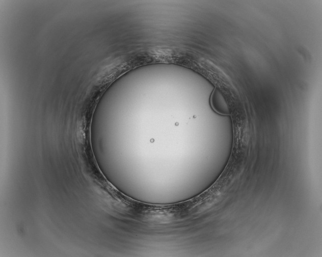 X0000112480702200908241255