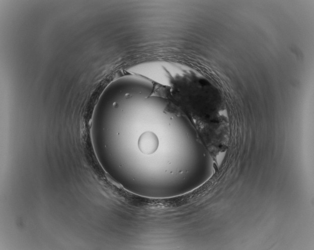 X0000112480704200908241255