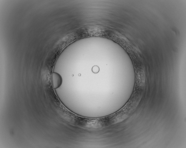 X0000112480705200908241255