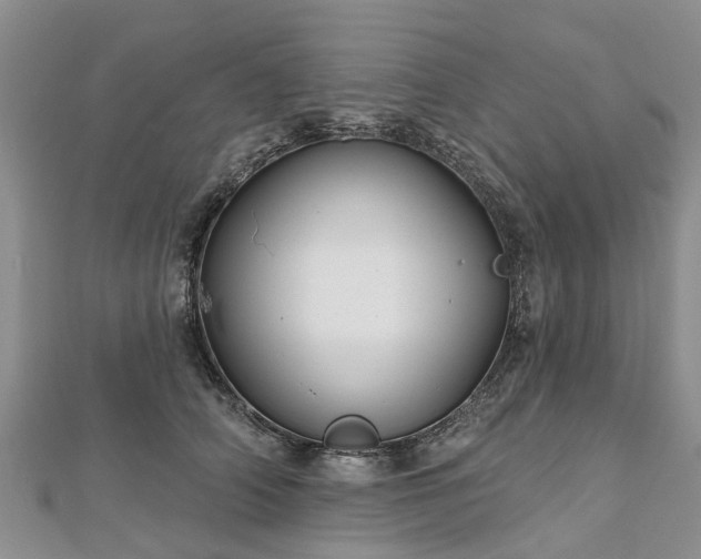 X0000112480706200908241255