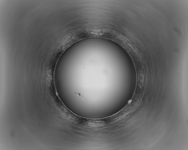 X0000112480707200908241255