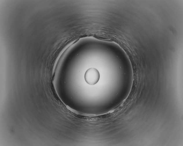 X0000112480709200908241254