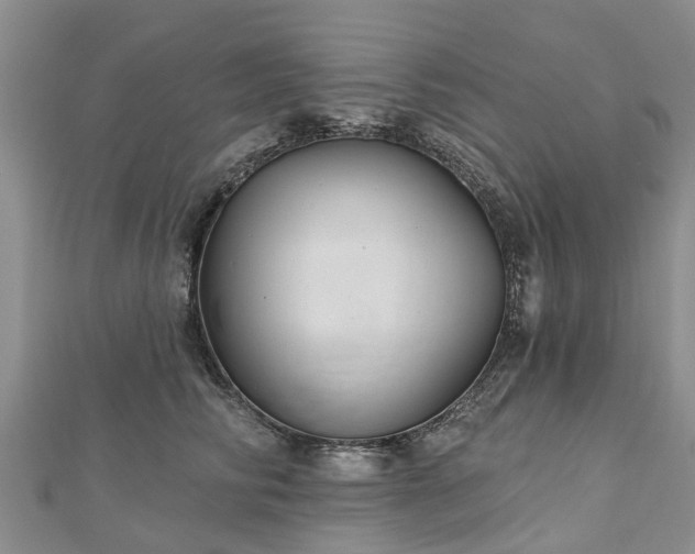 X0000112480710200908241254