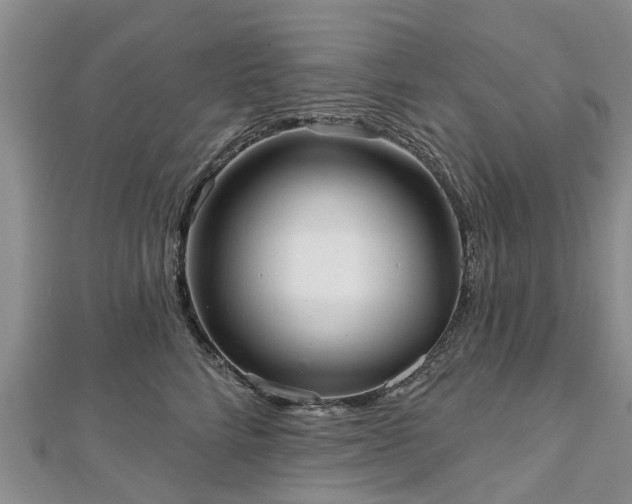 X0000112480712200908241254