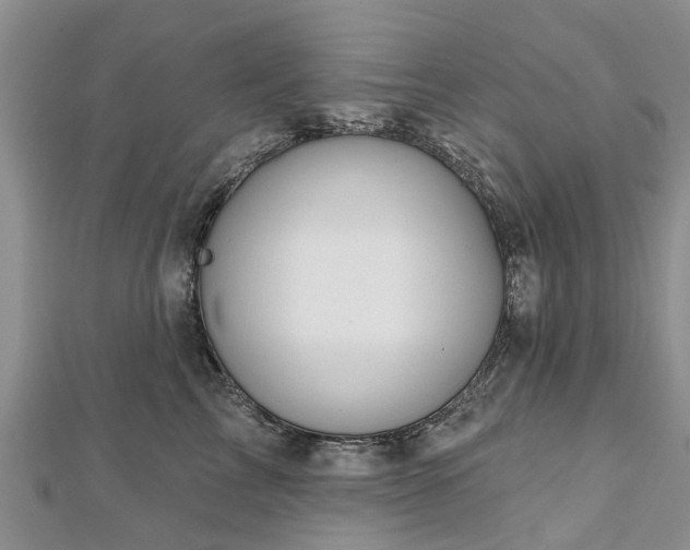 X0000112480713200908241254