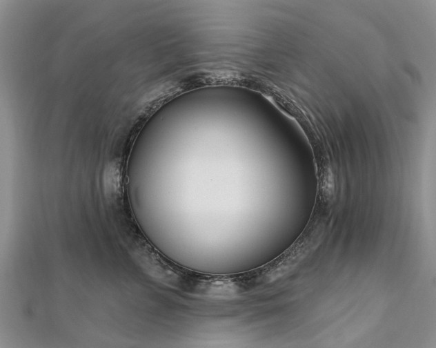 X0000112480715200908241254
