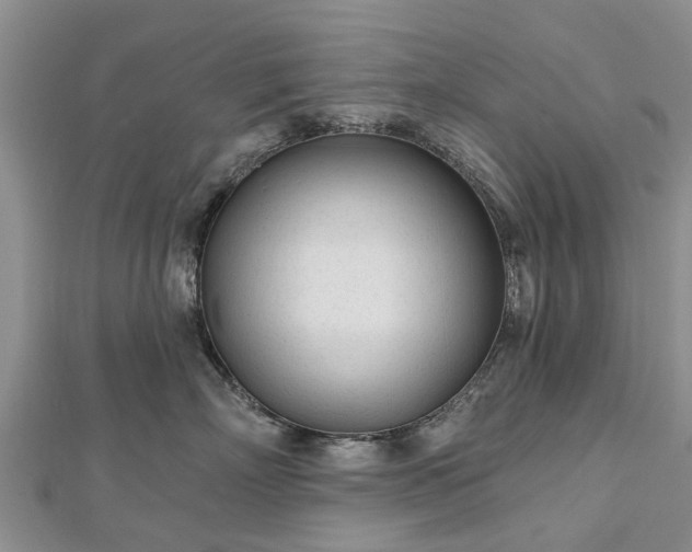 X0000112480718200908241254
