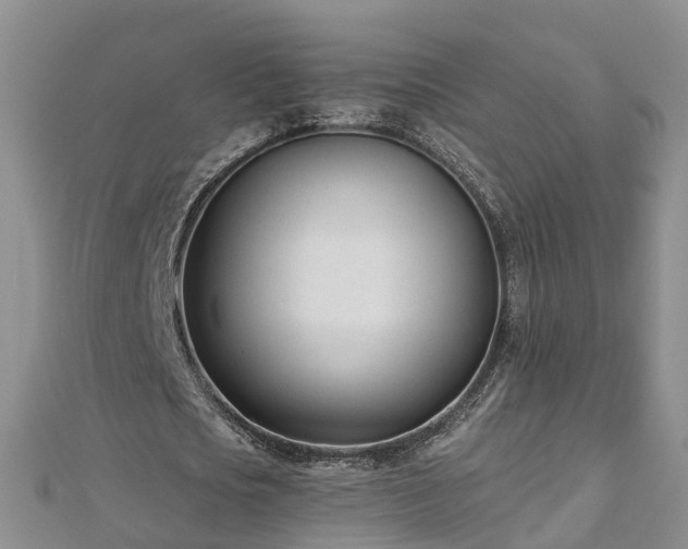 X0000112480721200908241254