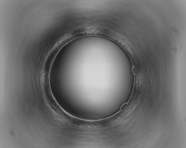 X0000112480722200908241254