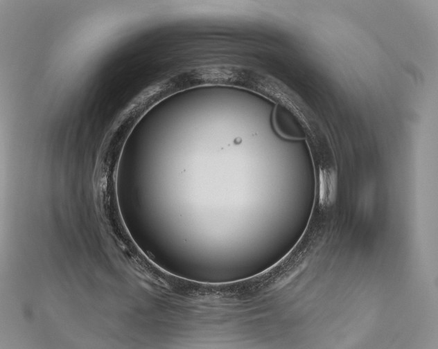 X0000112480723200908241254