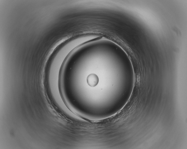 X0000112480724200908241254