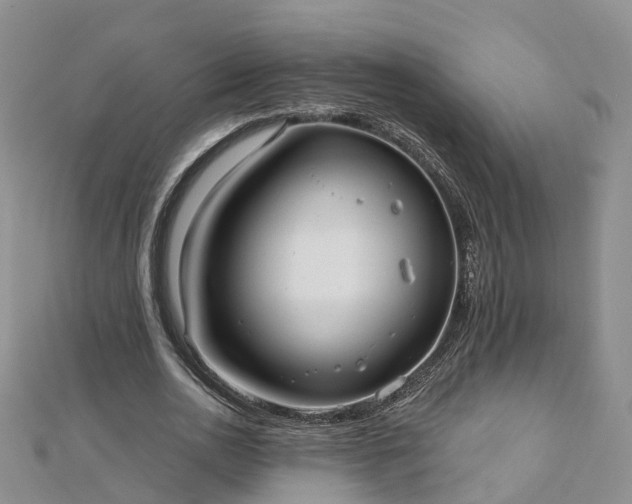 X0000112480726200908241254