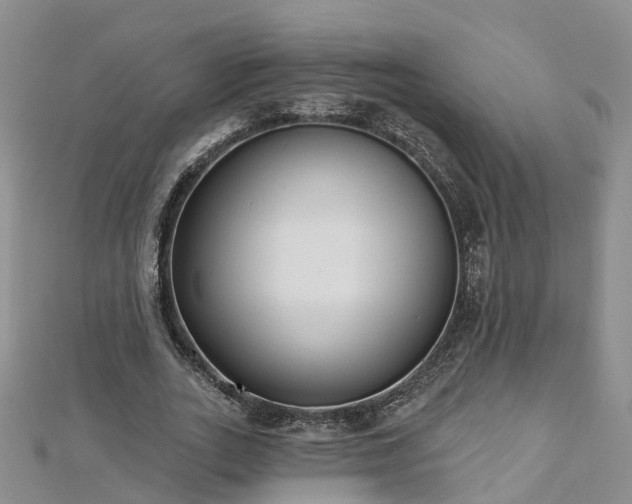 X0000112480727200908241254