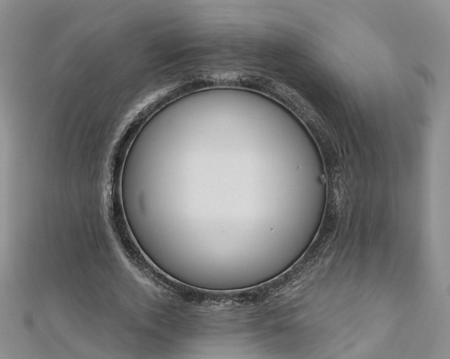 X0000112480728200908241254