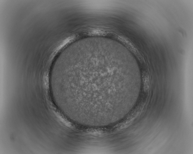 X0000112480729200908241254