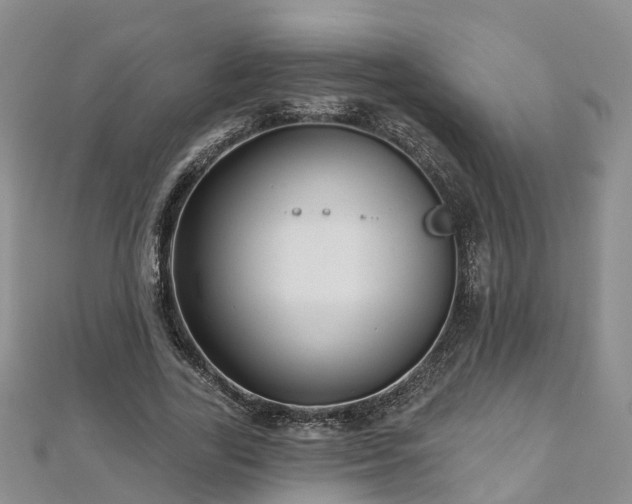 X0000112480731200908241254