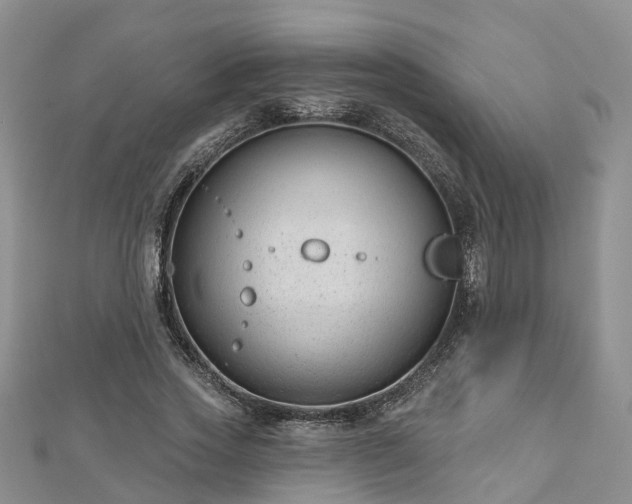 X0000112480733200908241254