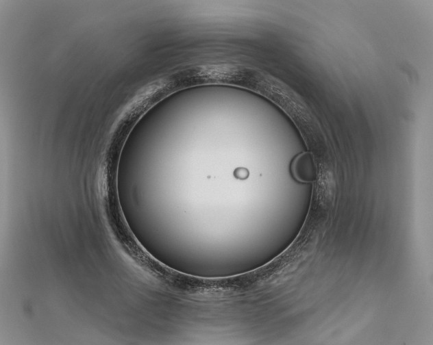 X0000112480734200908241254