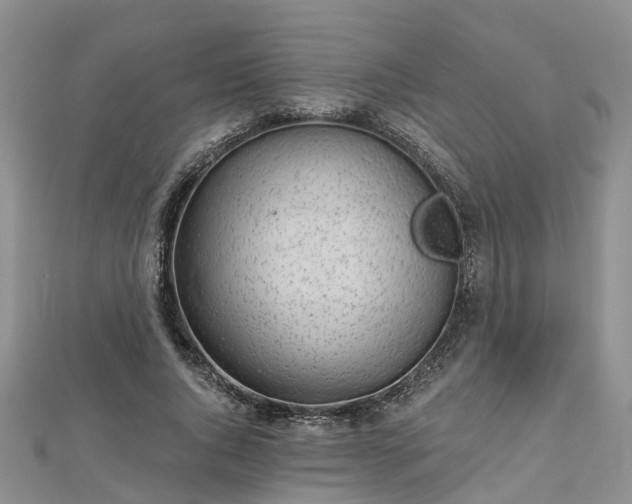 X0000112480736200908241254