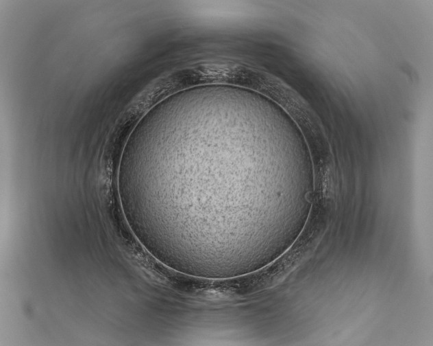 X0000112480737200908241254