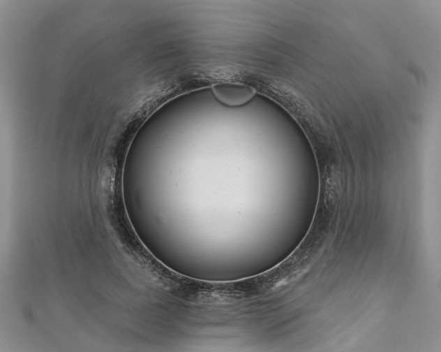 X0000112480739200908241254