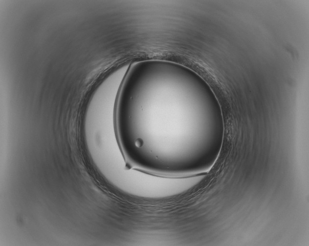 X0000112480740200908241254