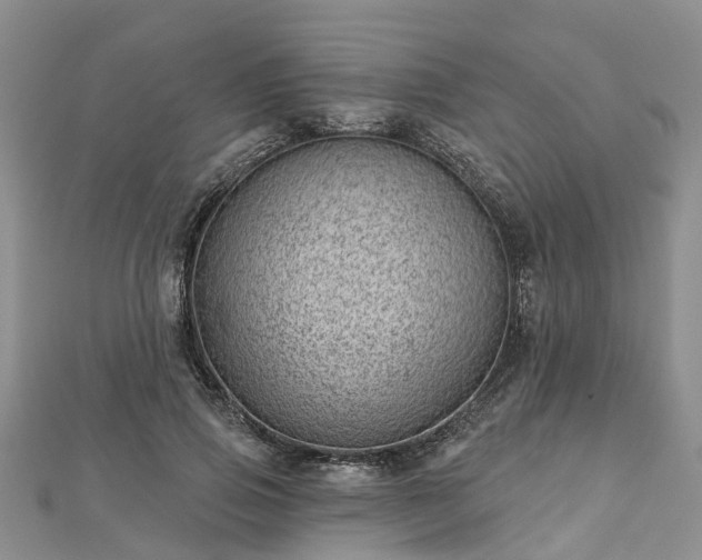 X0000112480741200908241254