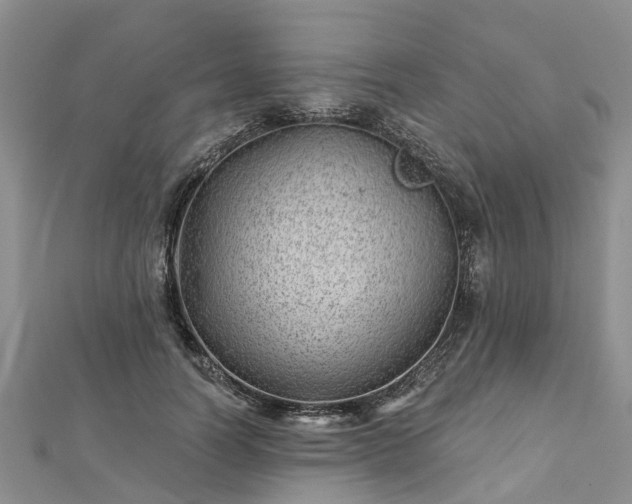 X0000112480746200908241254